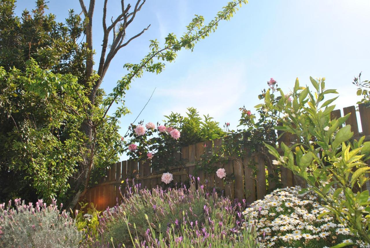 Wai O Taiki Bay B&B Auckland Bagian luar foto